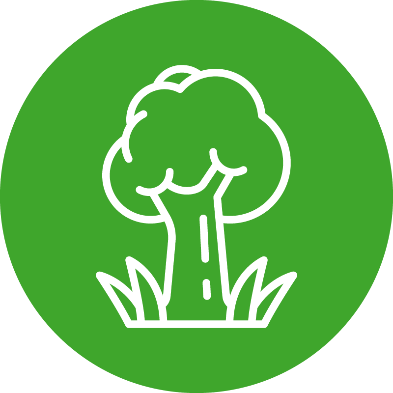 WRForestier Icon 2